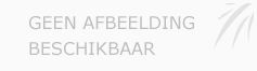 Afbeelding › Rijles op maat